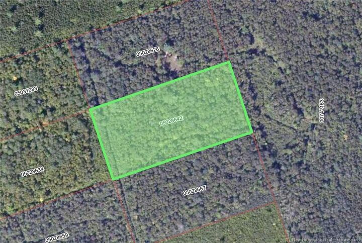 Property Photo:  Wood Lot Green Road  NB E4Z 1T6 