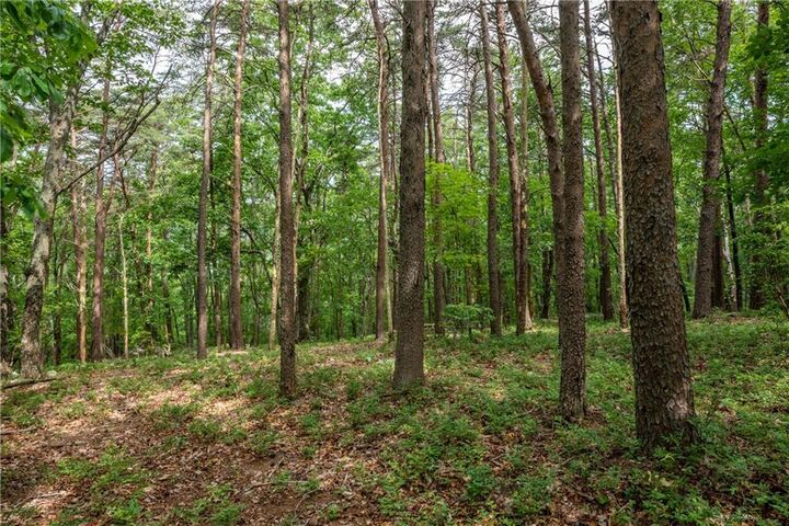 Property Photo:  206R Mystic Trail Lane  GA 30143 