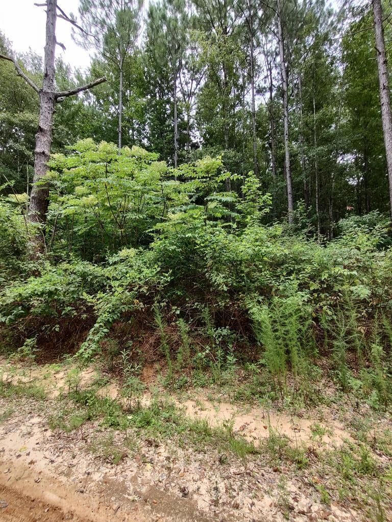 Property Photo:  0 Lakeshore Dr.  MS 39455 