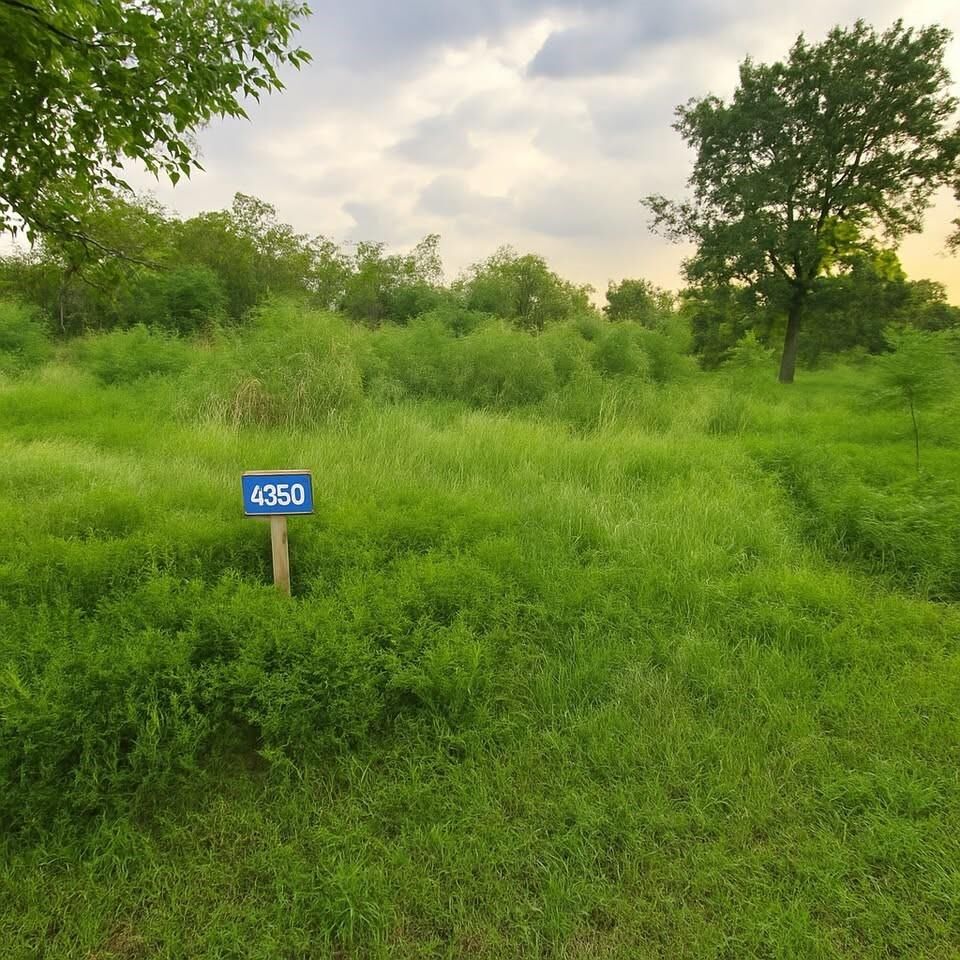 Property Photo: 4268 Sealy Road TX 77474