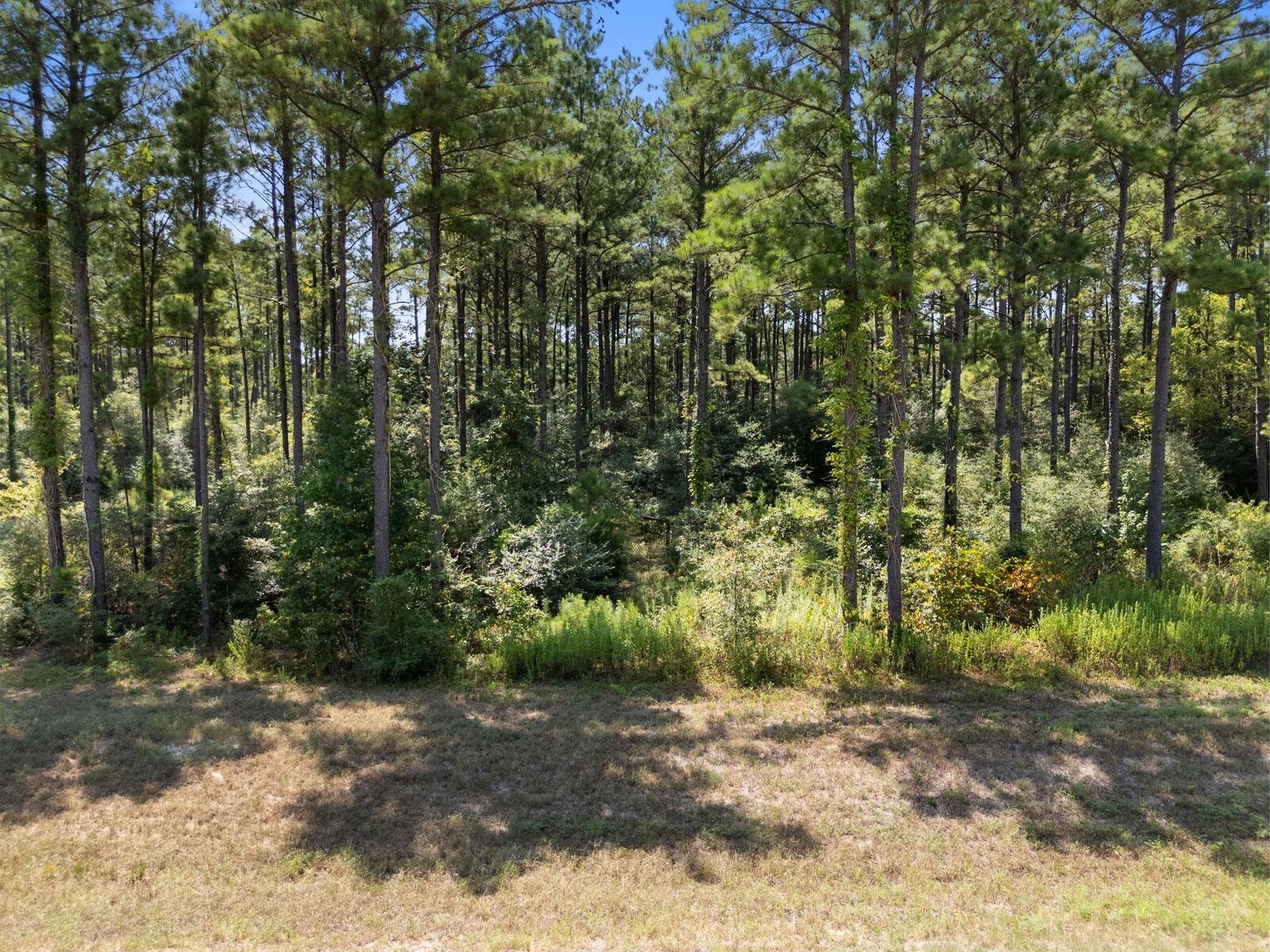 Property Photo: 15735 Wooded Trail Way TX 77378