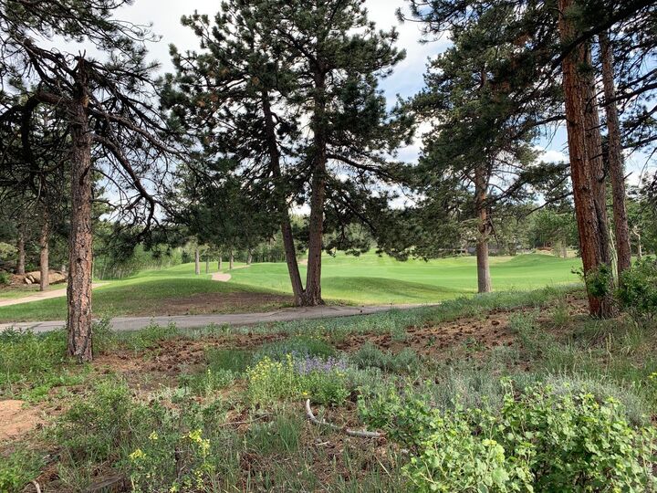 Property Photo:  520 Fox Acres Drive W Dr W  CO 80545 