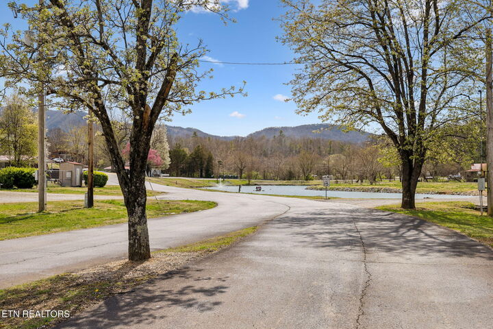 Property Photo:  749 Big Valley Blvd  TN 37882 