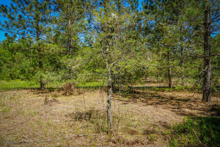 Property Photo: Parcel 2 Makinen Road MI 49645