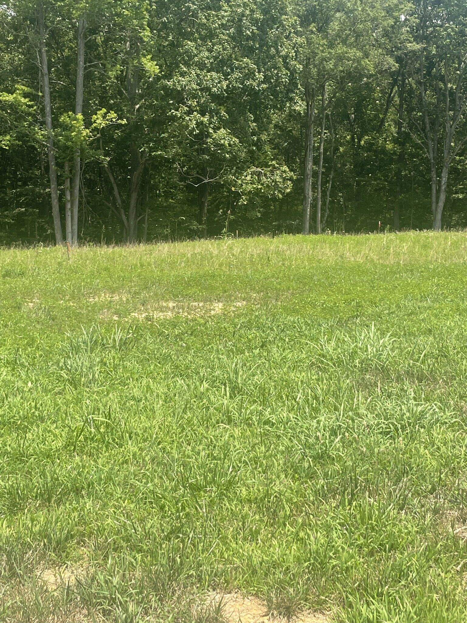 Property Photo:  0 Summer Lake  TN 37398 