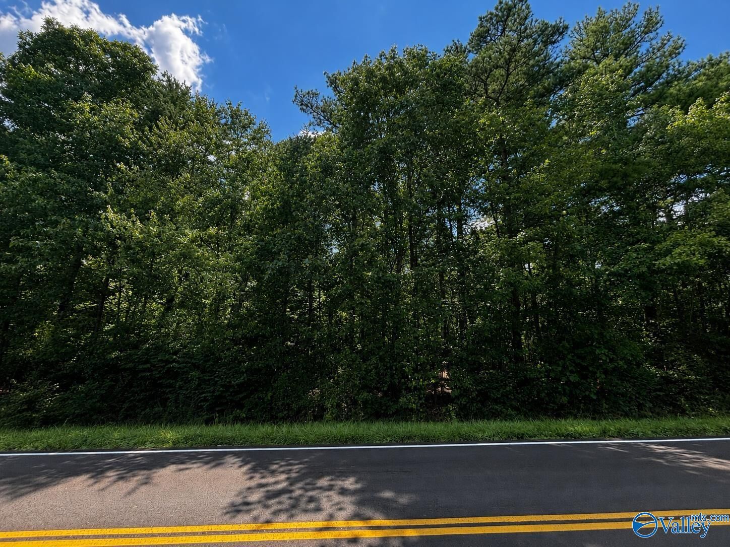 Property Photo: 1311A Adamsburg Road AL 35967