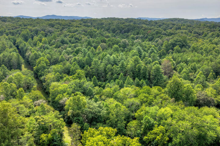 Property Photo: 4.70 Ac Chestnut Gap Lane GA 30513