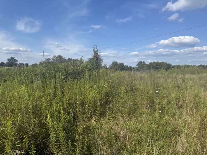 Property Photo:  64 Conroy Lane  KY 41040 