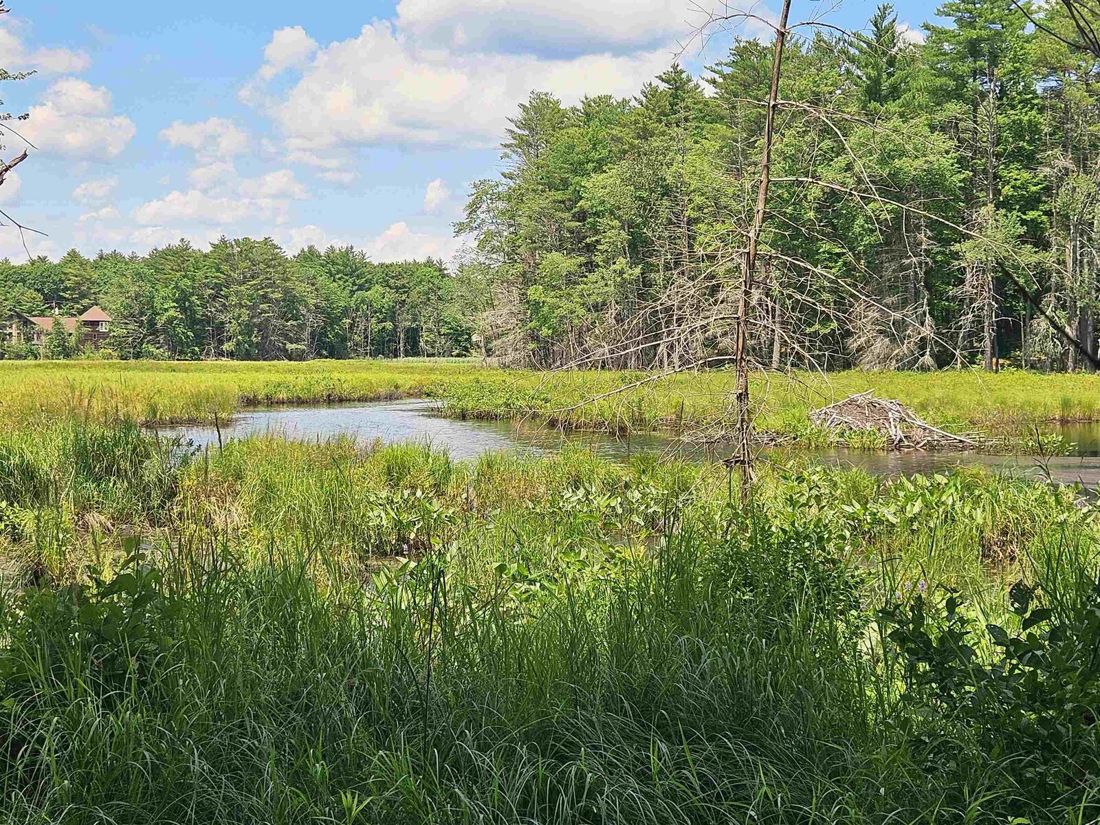 Property Photo: Map 257-Lot 32 Route 11 NH 03855