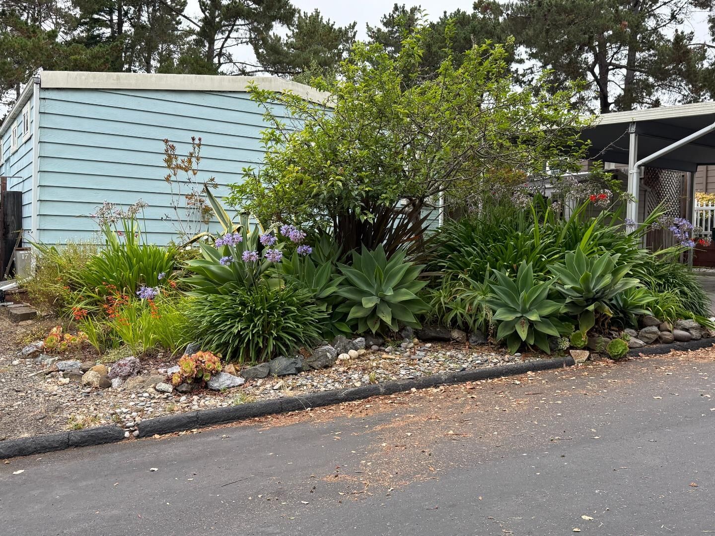 Property Photo:  300 Plum 17  CA 95010 