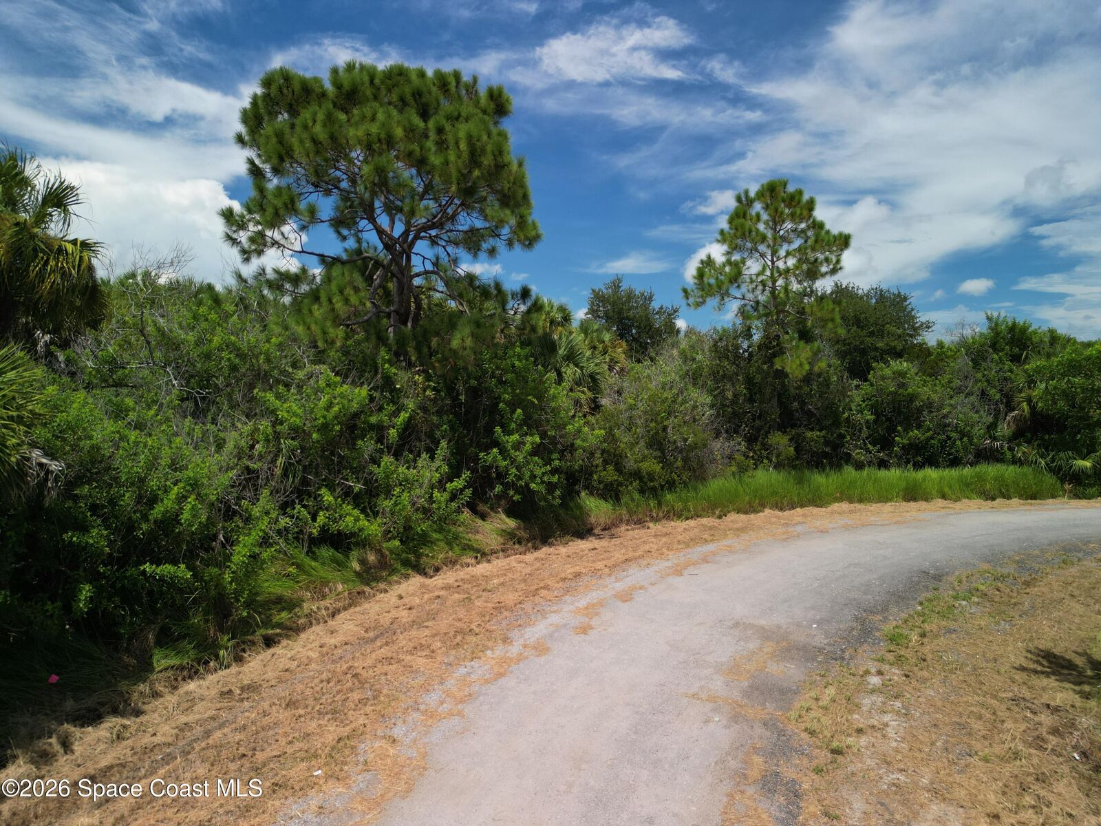 Property Photo: 1848 Alwar Avenue SW FL 32908