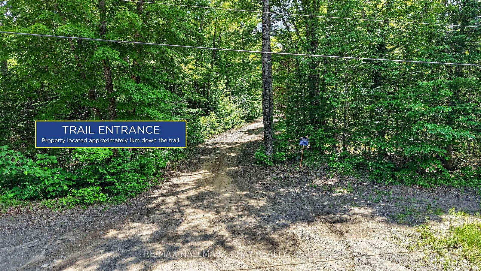 Property Photo:  Lot 29 Concession 11 Franklin N/A  ON N0N 0N0 