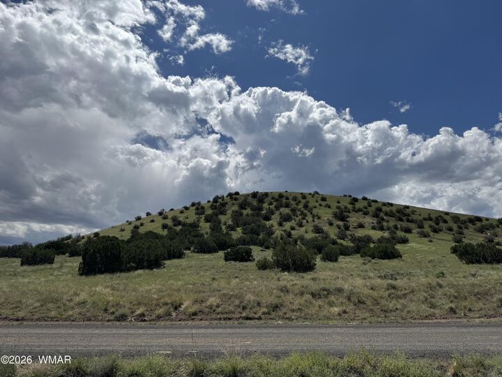 Property Photo:  168 Cr 5201  AZ 85924 