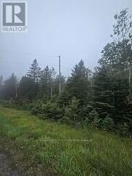 Property Photo:  5937 Highway 11/17  ON P0T 1W0 