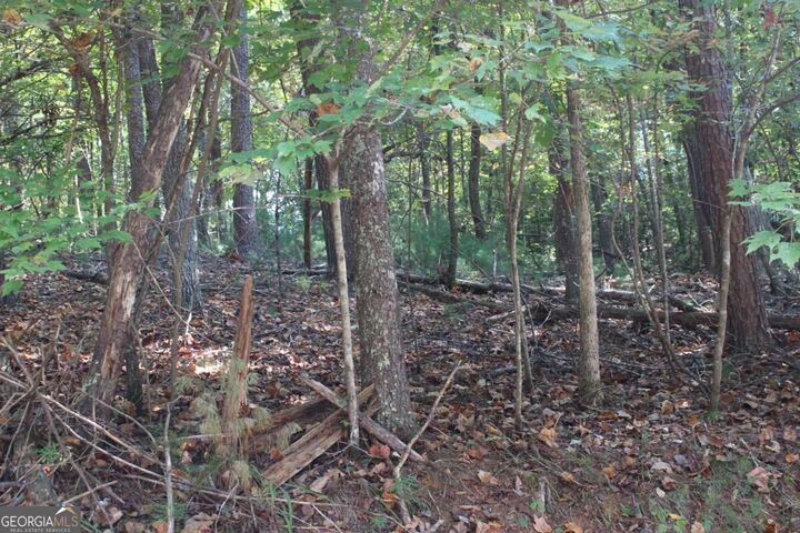 Property Photo: Lot 16R Leatherwood Mountain Road GA 30522