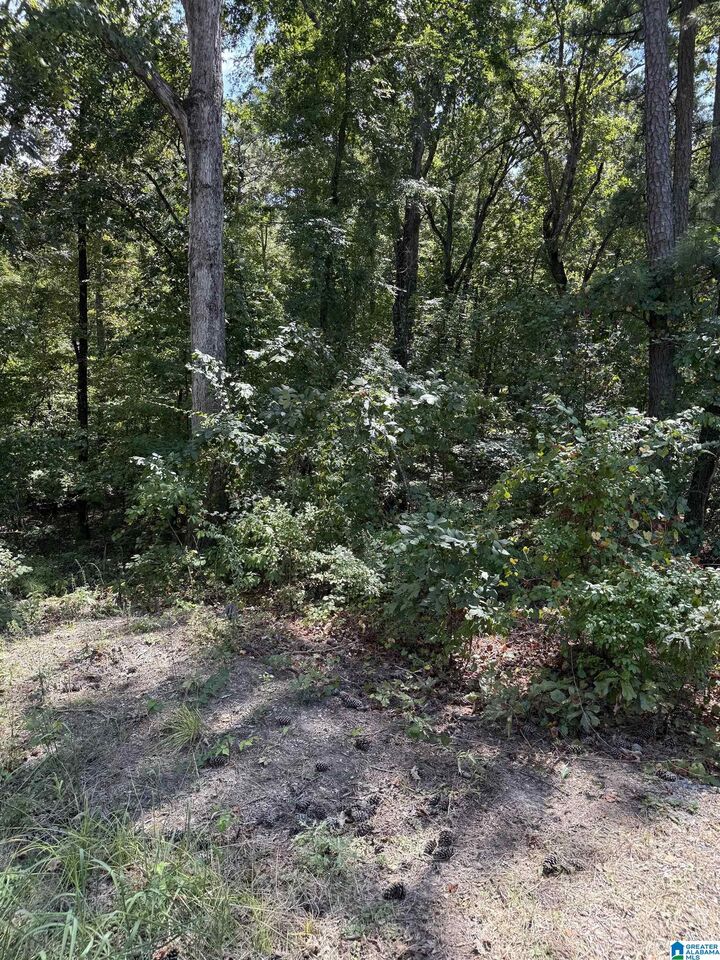 Property Photo: 0 S Lakeshore Drive 178 AL 35160