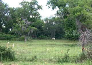 Property Photo: 1033 SE 163rd Street FL 32640