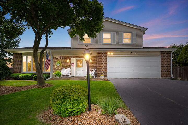 Property Photo: 539 Hamilton Avenue IL 60559