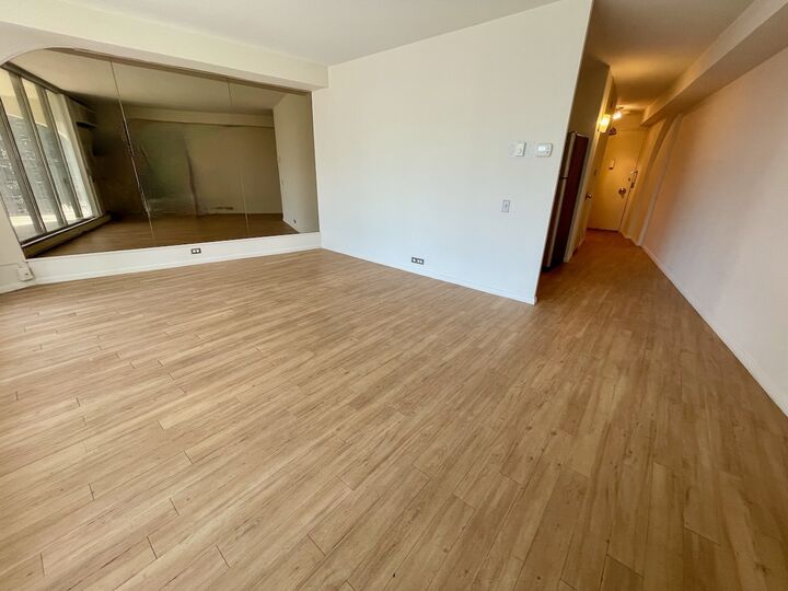Property Photo:  300 N State Street 3101  IL 60654 