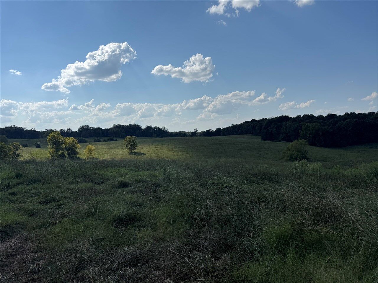 Property Photo:  Lot 10 Conatser Road  KY 42141 
