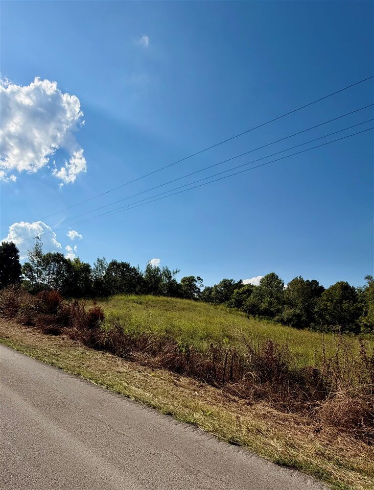 Property Photo:  Lot 1 Lick Branch Road  KY 42141 