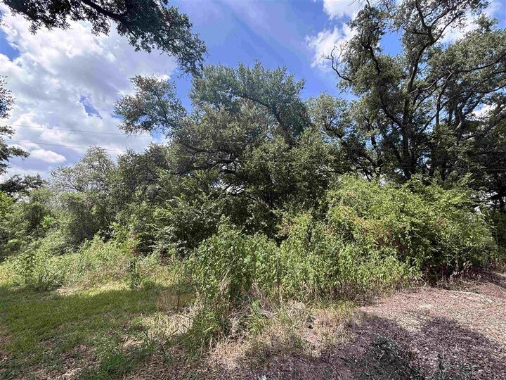 Property Photo: 180 Delaney Road LA 70607