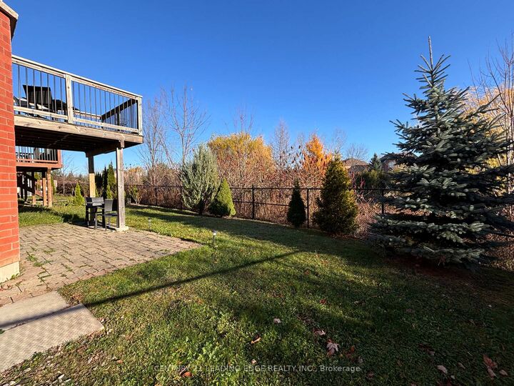 Property Photo:  35 Napanee Street Bsmt  ON L4E 0X3 