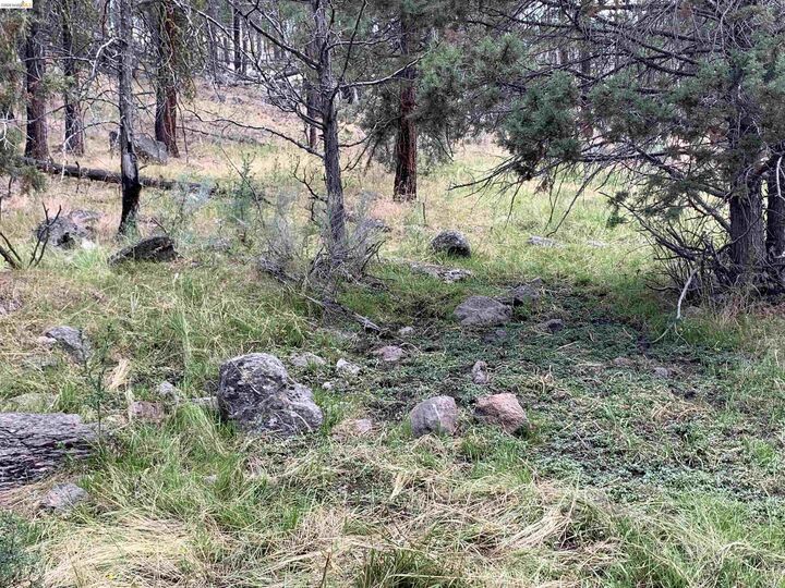 Property Photo:  00000 Butte Creek Rd  CA 96127 