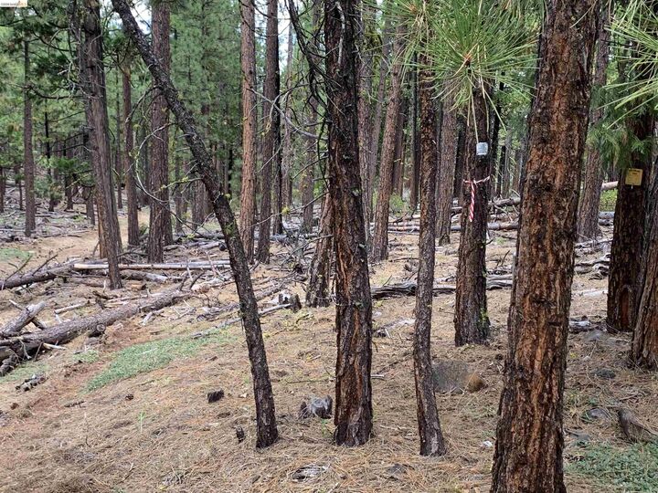 Property Photo: 00000 McClelland CA 96009