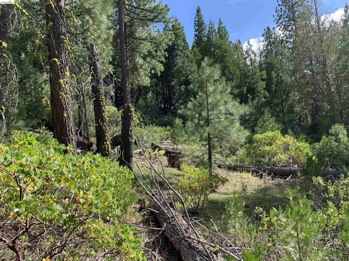 Property Photo:  00000 Hillcrest  CA 96101 