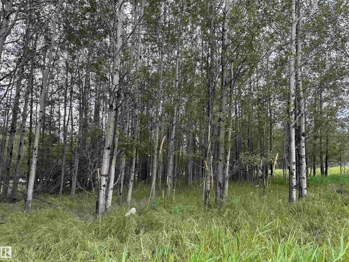Property Photo:  Lot 6 Buck Lake Estates  AB T0C 0T0 