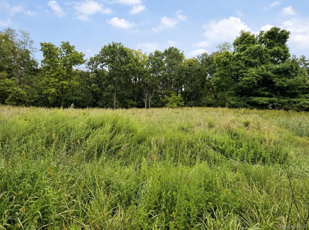 Property Photo:  Tbd Queens Highway  NY 12404 