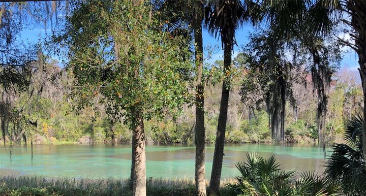 Property Photo: 7357 N Firwood Circle FL 34433