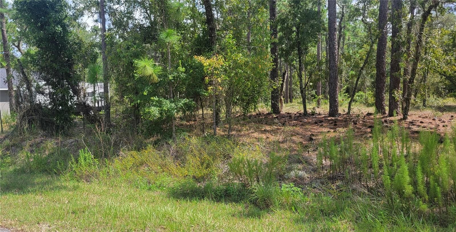 Property Photo: 0 NW Hillsdale Avenue FL 34431