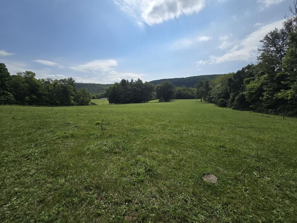 Property Photo: 0 Wildwood Rd PA 18840
