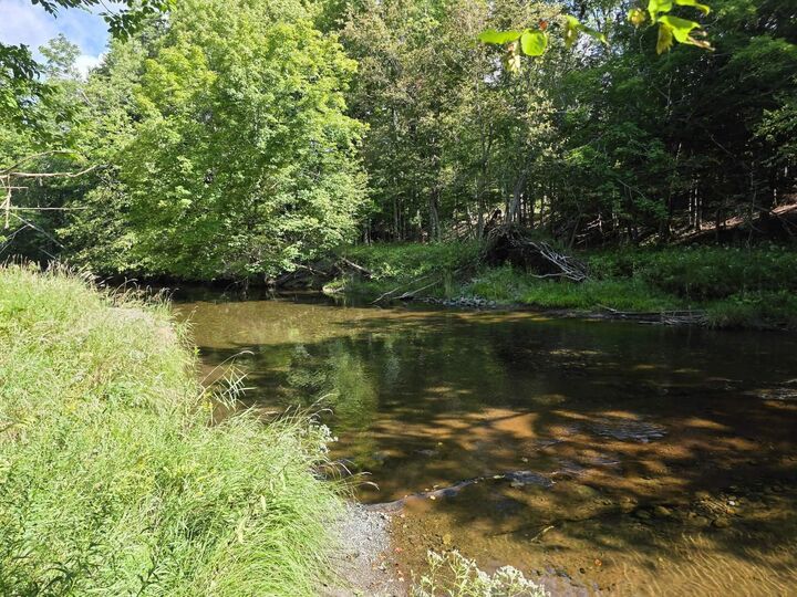 Property Photo: 8084 Highway 311 NS B0K 1V0