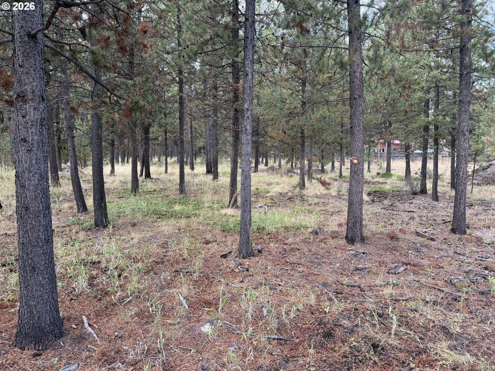 Property Photo: 17114 Indio Rd OR 97707