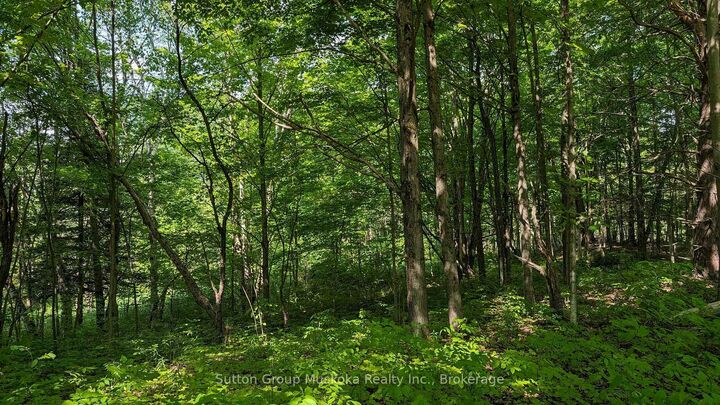 Property Photo:  Lot 2 Tally-Ho Winter Park Road  ON P1H 2E5 