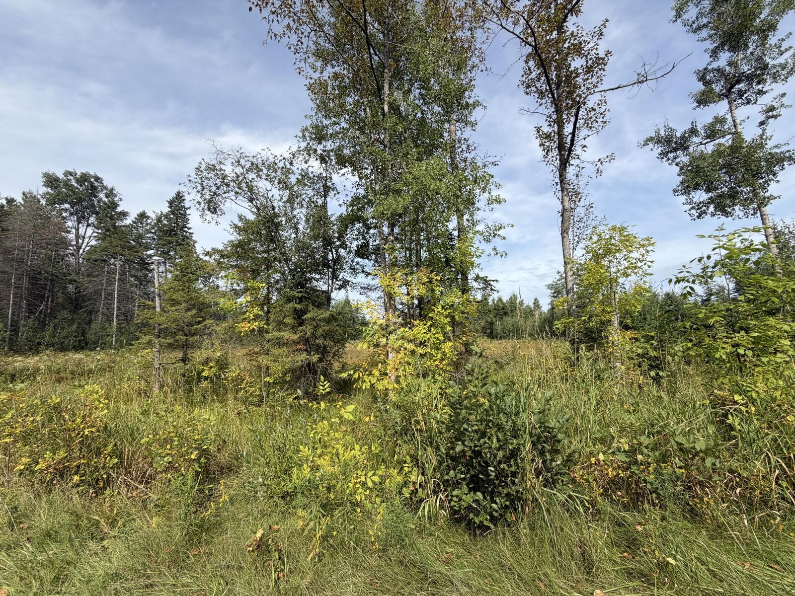 Property Photo: 370 Beaver Shores Drive MI 49753