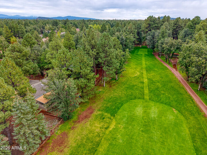 Property Photo: 3618 Roaring Fork Drive AZ 85935