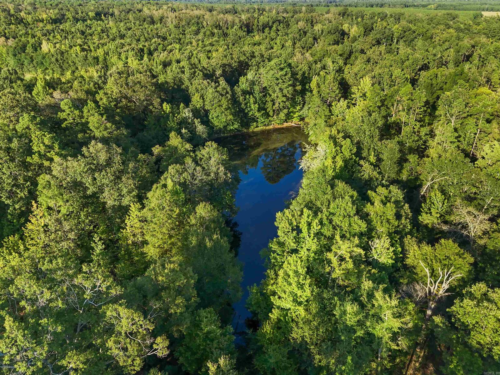 Property Photo:  00 Highway 63 And Britt Road  AR 71665 