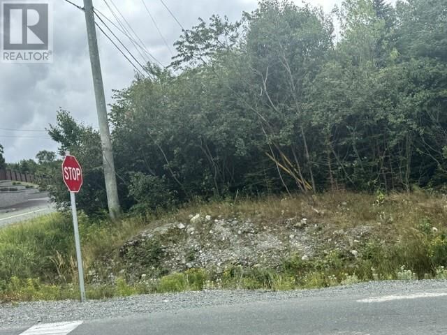 Property Photo:  2-6 Vineyard Drive  NL A1L 3V9 