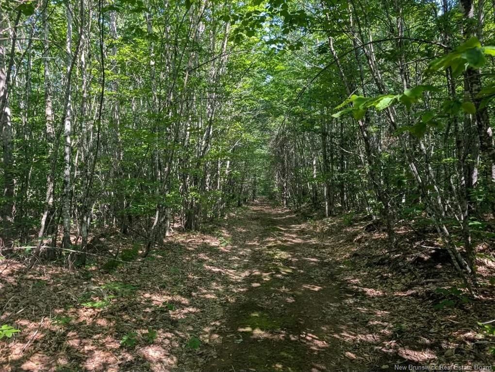 Property Photo:  Recreational Lot 2 Green Road  NB E4Z 1T6 