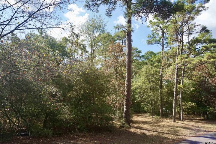 Property Photo: Tbd Lot 146 (Evening Shadows Trail) TX 75765