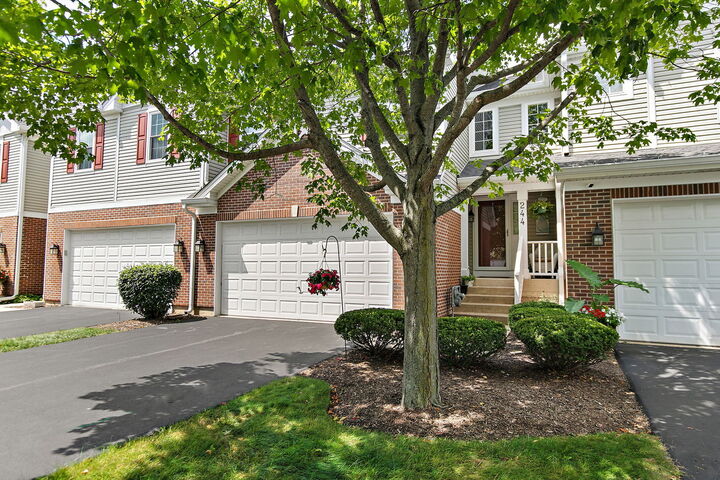 Property Photo:  244 Lineas Lane 244  IL 60134 