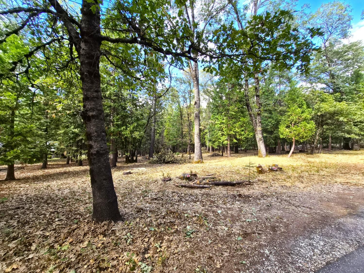 Property Photo:  13117 Madrone Forest Drive  CA 95959 