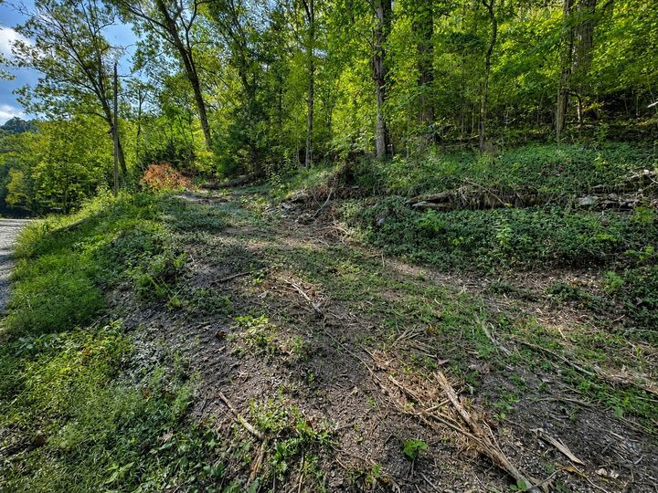 Property Photo:  0 Halls Hollow Rd  TN 37166 
