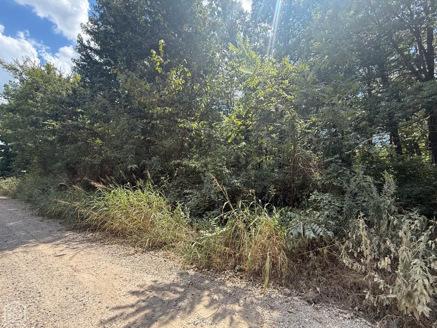 Property Photo: 1 Acre County Road 320 AR 72416