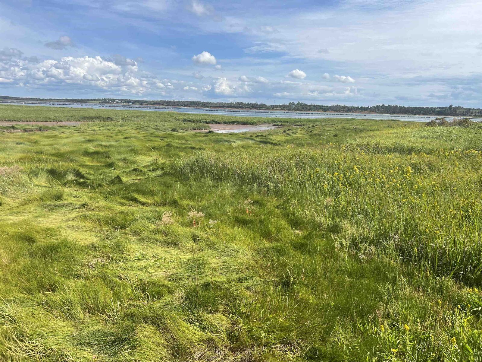 Property Photo: Acreage Cymbria PE C0A 1N0