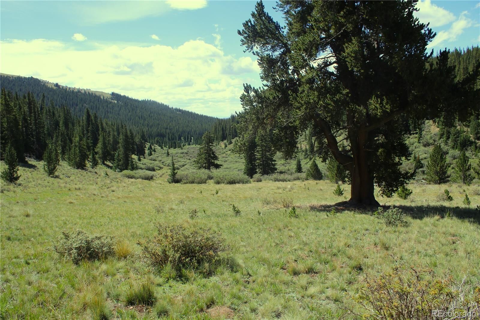 Property Photo:  3956 659  CO 80440 